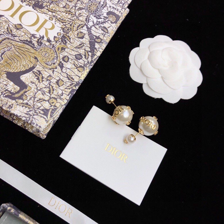 Christian Dior Earrings